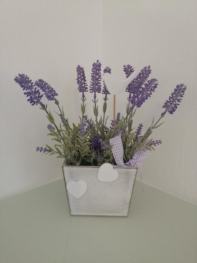 Ferienwohnung Lavanda 러스트 외부 사진